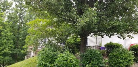 2404 Roberts Bend Rd, Burnside, KY 42519 photo 4