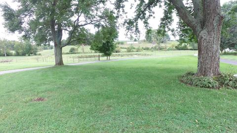 15890 Hwy 39, Eubank, KY 42567 photo 4