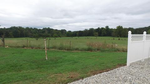 15890 Hwy 39, Eubank, KY 42567 photo 9