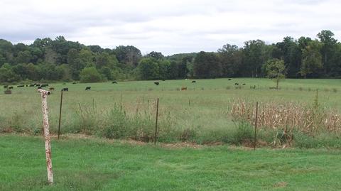 15890 Hwy 39, Eubank, KY 42567 photo 10