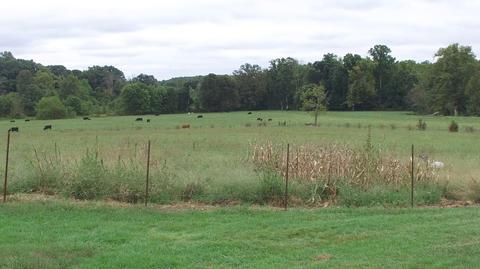 15890 Hwy 39, Eubank, KY 42567 photo 11