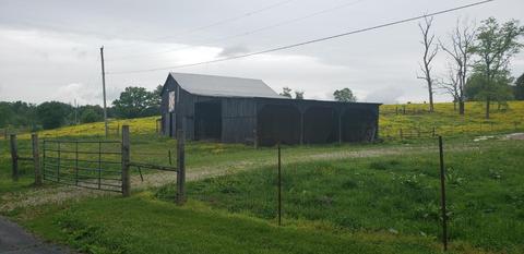 15890 Hwy 39, Eubank, KY 42567 photo 74