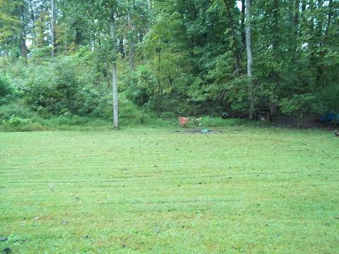 262 Spruce Dr, Burnside, KY 42519 photo 5
