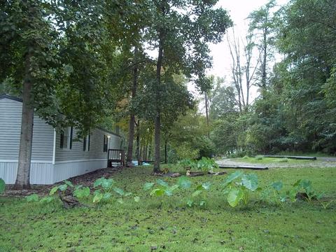 262 Spruce Dr, Burnside, KY 42519 photo 13