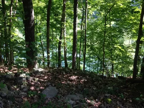 80 Buck Tail Dr, Burnside, KY 42519 photo 2