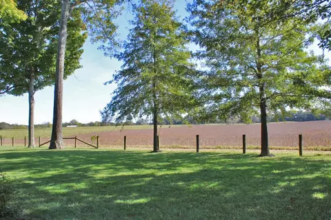 134 Serenity Ct, Nancy, KY 42544 photo 5