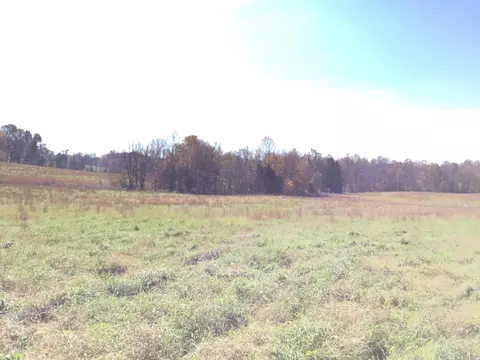 435 Hargis Ln, Eubank, KY 42567 photo 41