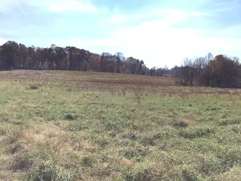 435 Hargis Ln, Eubank, KY 42567 photo 43