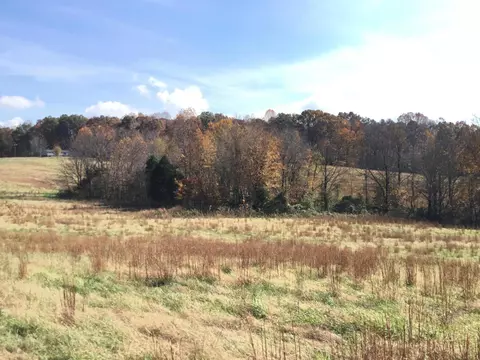 435 Hargis Ln, Eubank, KY 42567 photo 36