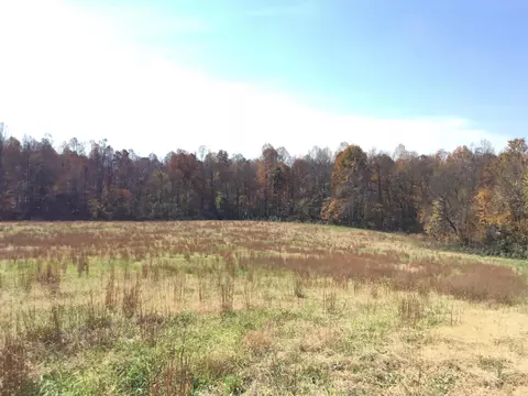 435 Hargis Ln, Eubank, KY 42567 photo 39