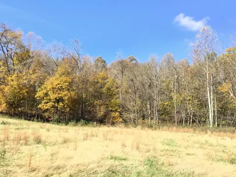 435 Hargis Ln, Eubank, KY 42567 photo 6