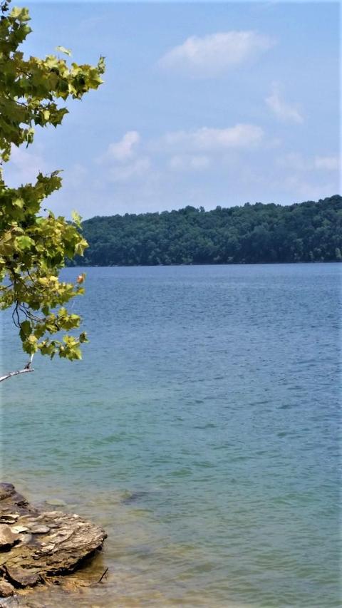 929 Brock Rd, Nancy, KY 42544 photo 37