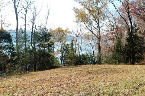 929 Brock Rd, Nancy, KY 42544 photo 32