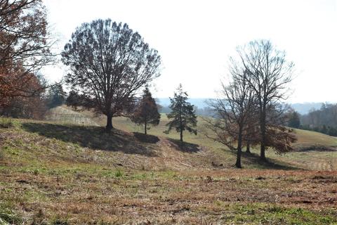 929 Brock Rd, Nancy, KY 42544 photo 14