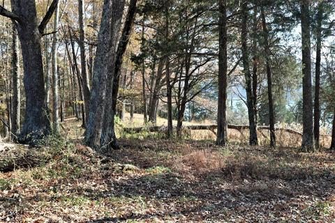929 Brock Rd, Nancy, KY 42544 photo 29