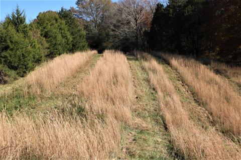 929 Brock Rd, Nancy, KY 42544 photo 25