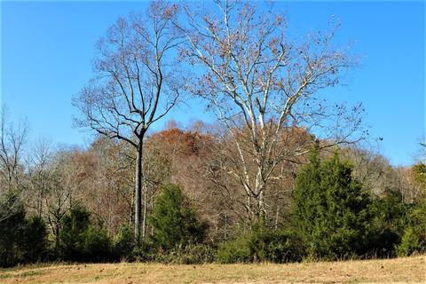 929 Brock Rd, Nancy, KY 42544 photo 34