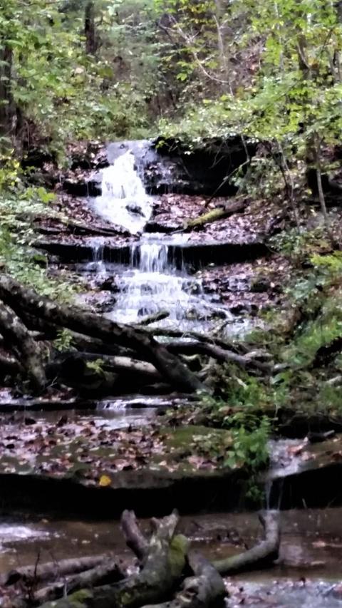 929 Brock Rd, Nancy, KY 42544 photo 38