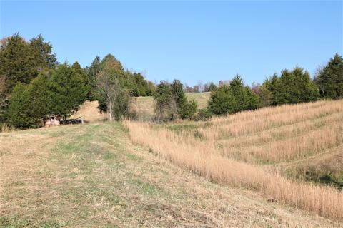 929 Brock Rd, Nancy, KY 42544 photo 27