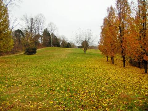 59 E Todd Rd, Science Hill, KY 42553 photo 2