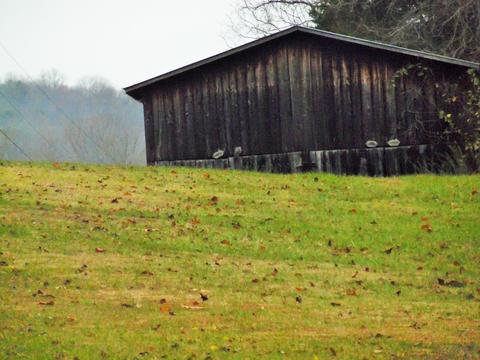 59 E Todd Rd, Science Hill, KY 42553 photo 8