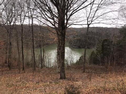 1375 Pine Tree Rd, Nancy, KY 42544 photo 10