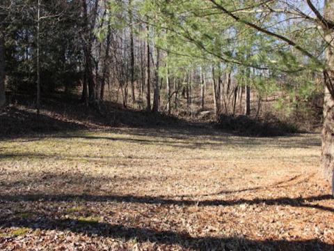 195 Vineview Dr, Corbin, KY 40701 photo 1