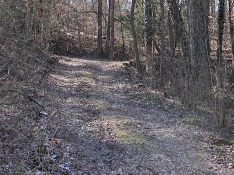 195 Vineview Dr, Corbin, KY 40701 photo 13