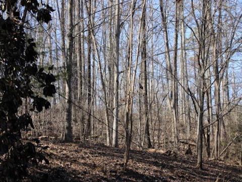 195 Vineview Dr, Corbin, KY 40701 photo 5