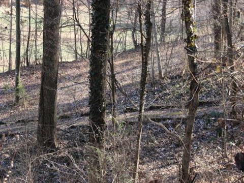 195 Vineview Dr, Corbin, KY 40701 photo 8