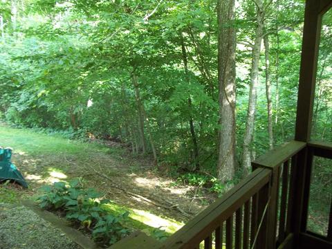 482 Enchanted Forest Way, Burnside, KY 42519 photo 16