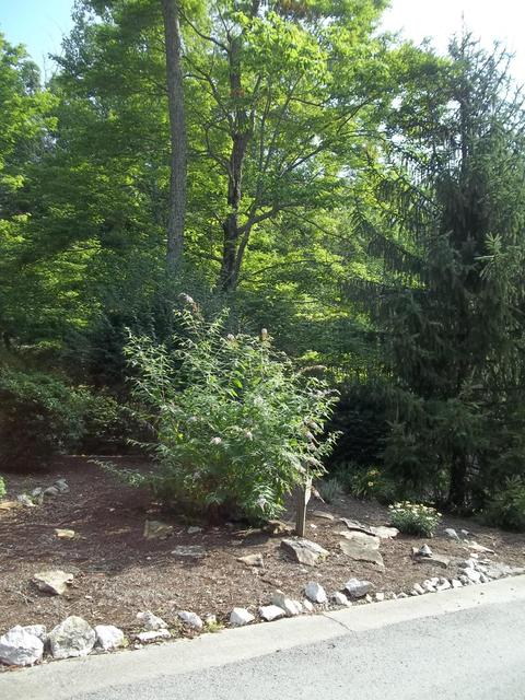 482 Enchanted Forest Way, Burnside, KY 42519 photo 19