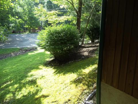 482 Enchanted Forest Way, Burnside, KY 42519 photo 18