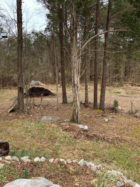 122 Buck Tail Dr, Burnside, KY 42519 photo 66
