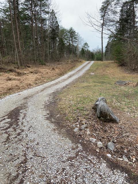 122 Buck Tail Dr, Burnside, KY 42519 photo 69