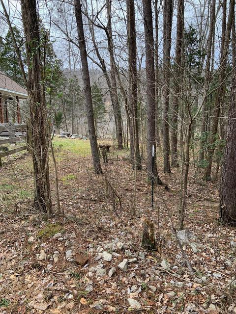 122 Buck Tail Dr, Burnside, KY 42519 photo 68