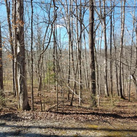 21 Mulberry Dr, Burnside, KY 42519 photo 22