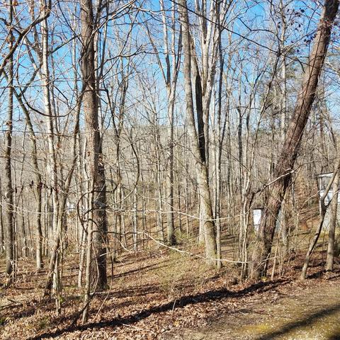 21 Mulberry Dr, Burnside, KY 42519 photo 21
