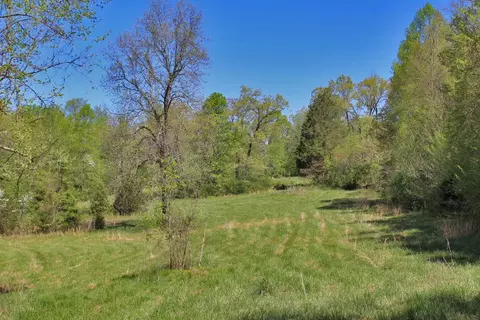 930 Dishman, Nancy, KY 42544 photo 11