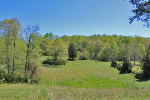 930 Dishman, Nancy, KY 42544 photo 22