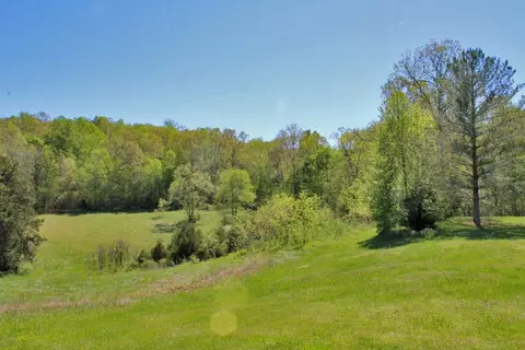 930 Dishman, Nancy, KY 42544 photo 4