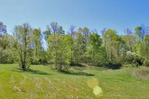 930 Dishman, Nancy, KY 42544 photo 10