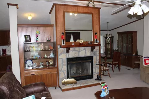 930 Dishman, Nancy, KY 42544 photo 28