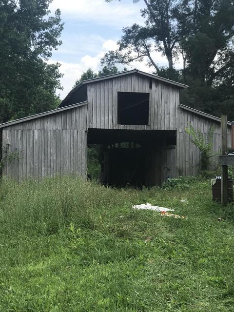 245 County Line Rd, Eubank, KY 42567 photo 8