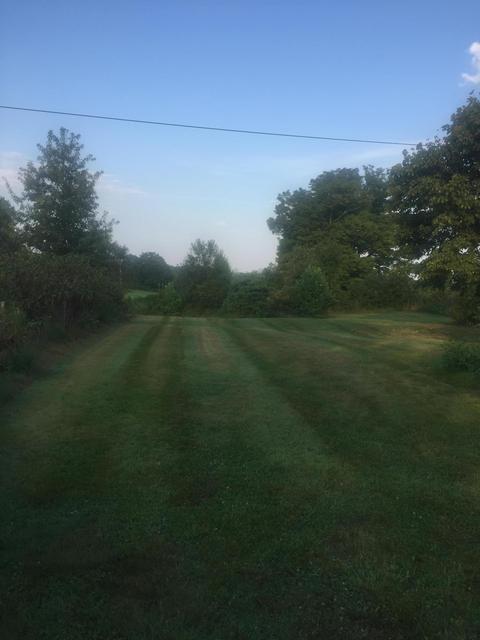 1144 Charles Elgin Rd, Eubank, KY 42567 photo 4