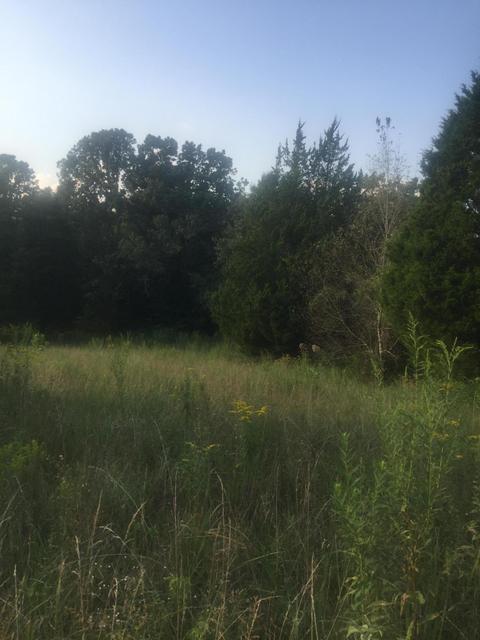 1144 Charles Elgin Rd, Eubank, KY 42567 photo 2