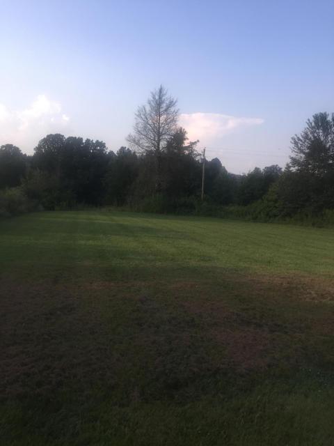 1144 Charles Elgin Rd, Eubank, KY 42567 photo 3