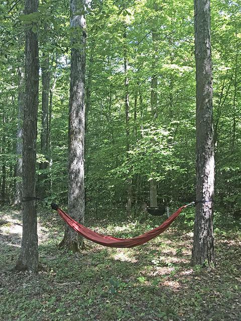 438 Stoneybrook Rd, Burnside, KY 42519 photo 6