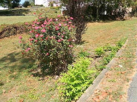 491 Lakeshore Dr, Burnside, KY 42519 photo 31