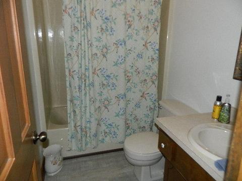 491 Lakeshore Dr, Burnside, KY 42519 photo 12